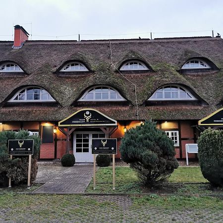 Haus Ossenkopp Hotel Dummer Exterior photo